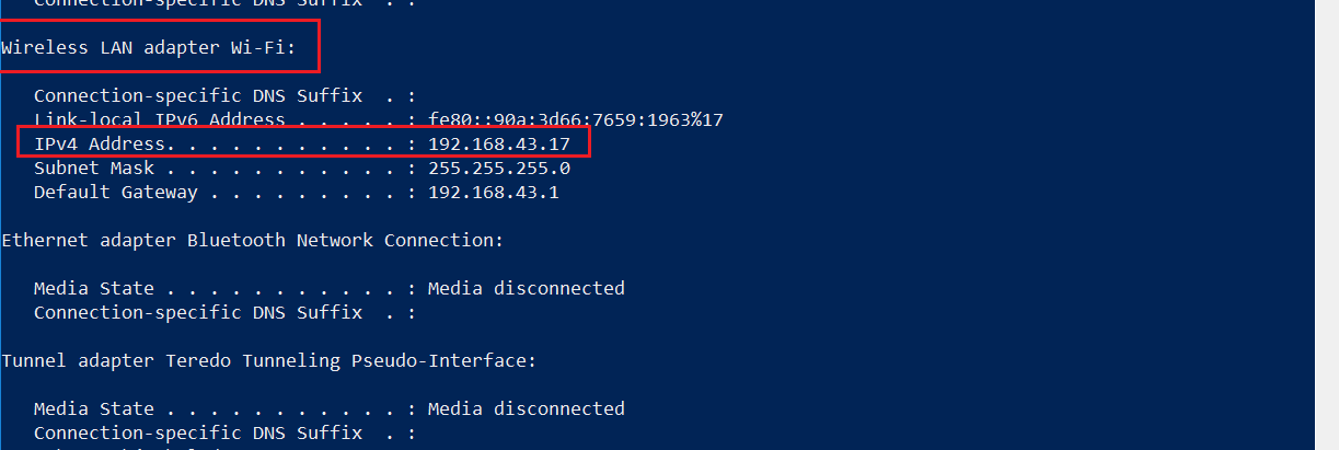 Result of `ipconfig` command on Windows 10